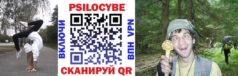 магазин    Калач-на-Дону  Псилоцибиновые грибы Magic Shrooms 